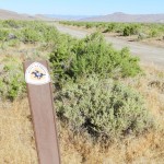 The desolate Pony Express route